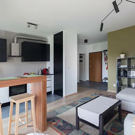 Modern, Spacious Apartment, Great Location! * 克拉科夫