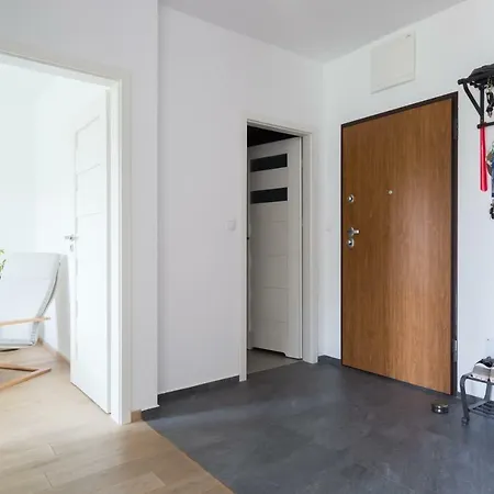 Modern, Spacious Apartment, Great Location! 公寓 克拉科夫